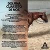 Dolfina Cuarteto de Nos Fresh Semen Collection & Analysis - Image 5