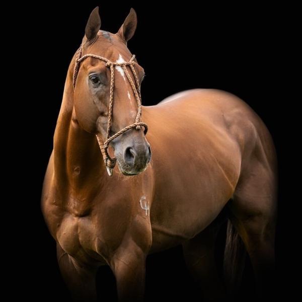 Lovelocks Lit Fresh Semen Collection & Analysis - Image 2